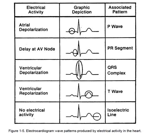 Figure 1-5. - Cardiac Rhythm Interpretation