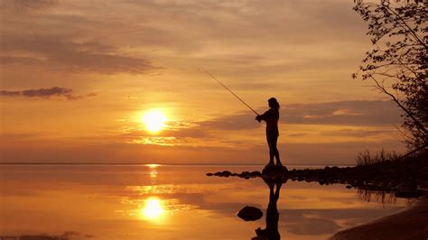 Woman fishing on Fishing rod spinning at sunset background. Stock Video ...