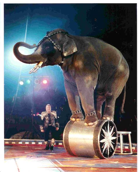 The Spectacular Shrine Circus Returns to Metro Detroit March 18-21 ...