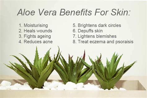 10 Aloe Vera Benefits For Gorgeous And Glowing Skin This Winter ...