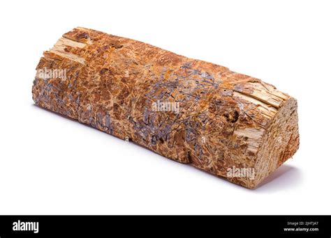 Single Firewood Log Cut Out On White Stock Photo - Alamy