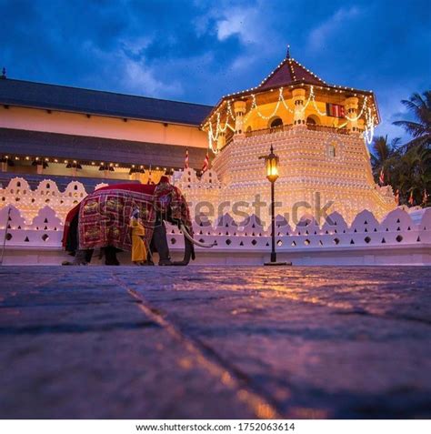 Sri Lanka Kandy Temple Tooth Elephant Stock Photo 1752063614 | Shutterstock