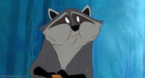 Meeko - Disney Wiki