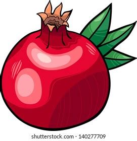 Pomegranate Clip Art Photos, Images & Pictures | Shutterstock