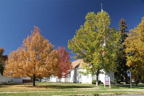 Visit More Than 60 Landmarks On The Kit Carson Trail In Nevada