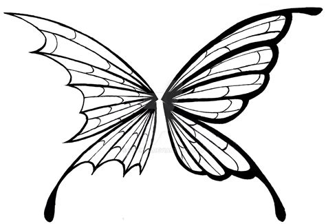 Butterfly Wings Drawing at GetDrawings | Free download