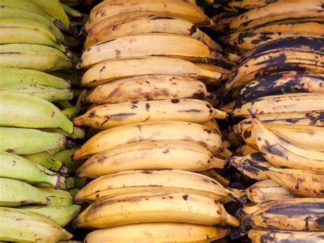 Plantains: Benefits and nutrition