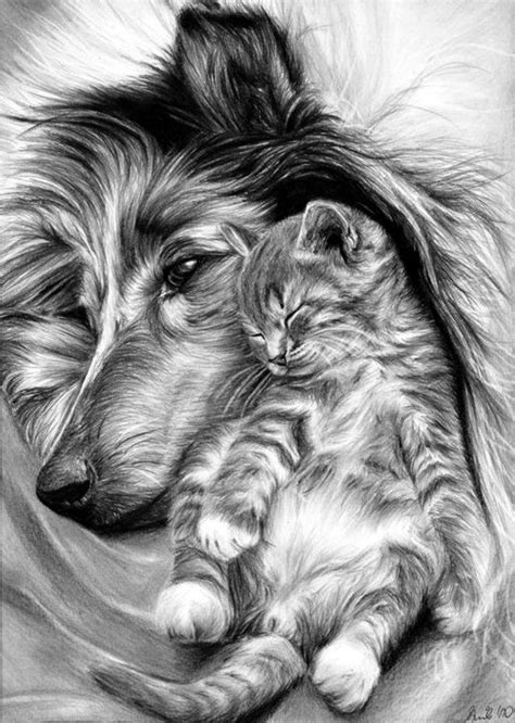 Cute Animal Drawings Realistic