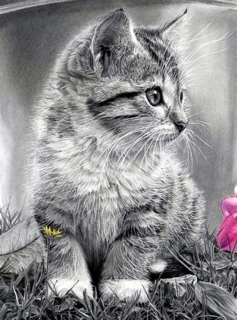 40 Realistic Animal Pencil Drawings | Cat art, Pencil drawings of ...