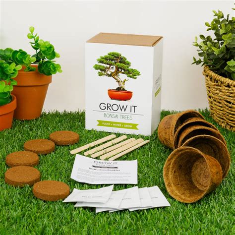 Grow Your Own Bonsai Tree Kit By Gift Republic