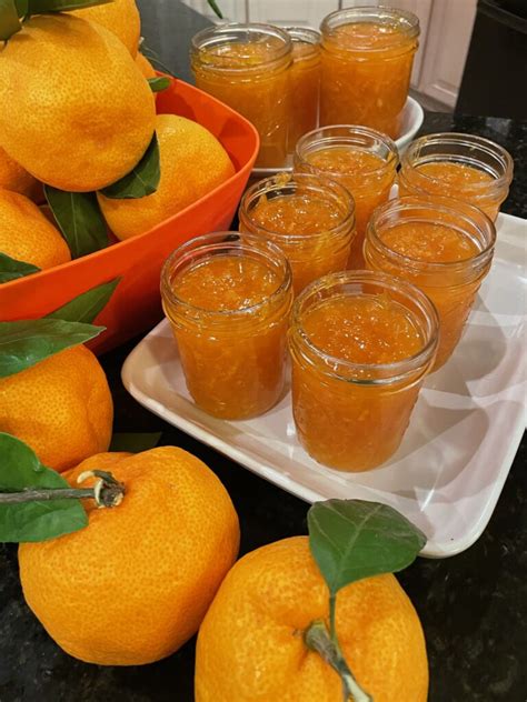 Satsuma Mandarin Orange Marmalade | Hot Sweet Spicy Recipes