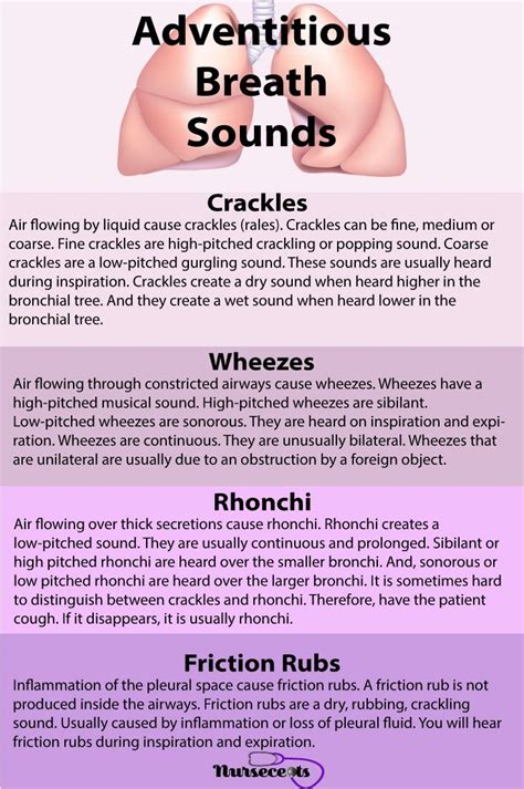 Nursing Health Assessment of the Respiratory System | Nursing school ...