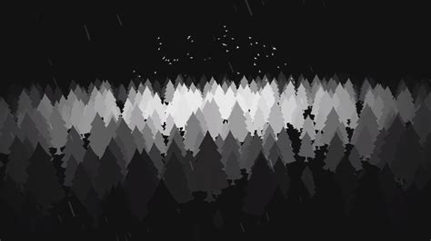 Black and white forest [1920x1080] : r/wallpaper