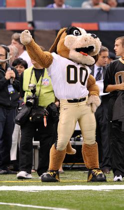 New Orleans Saints Mascot Gumbo Performs Editorial Stock Photo - Stock ...