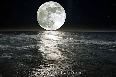 Moon Over Ocean Wallpaper Wall Mural by Magic Murals