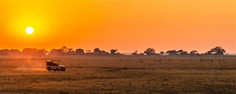 Luxury African Safari Tours | Safari Trips | GeoEx