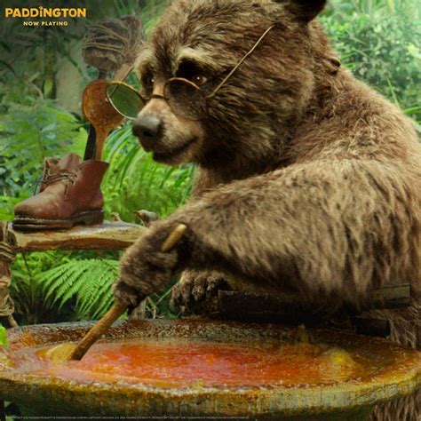 Paddington brought much with him from Peru, and his love for marmalade ...