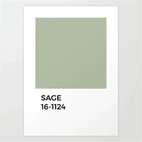 Buy Sage Pantone Chip • Green • Earth Tones • Natural • Nature ...