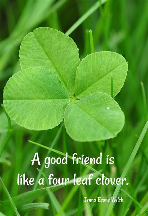 Good Luck Quotes - St. Patrick's Day - Irish Quotes with Shamrock Images