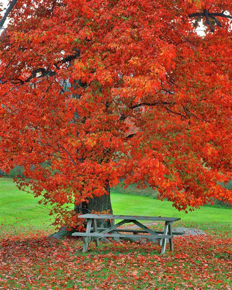 USA, New York, West Park Photograph by Jaynes Gallery - Fine Art America