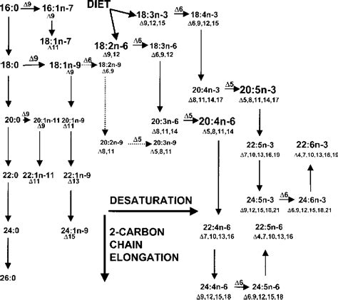 [PDF] Fatty acid desaturation and chain elongation in eukaryotes ...