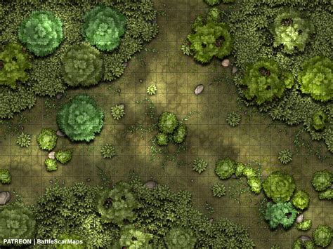 Forest Clearing Battle Map Dnd Battle Map D&D Battlemap | Etsy India