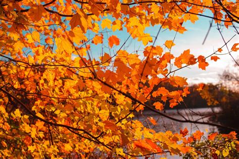 Pennsylvania Fall Foliage 2020: When To See Fall's Best Colors