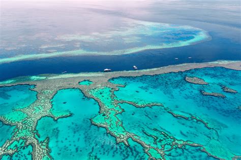 What are Marine Protected Areas & Why Should You Care About Them?