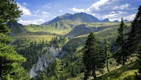 Kosovo Mountain. Turizam, Prirodne ljepote i Ekologija - Page 9 - Forum ...