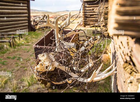 View of Old trail Town in Cody Wyoming USA Stock Photo - Alamy