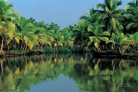 Alleppey backwater, Kerala | TripCompanion