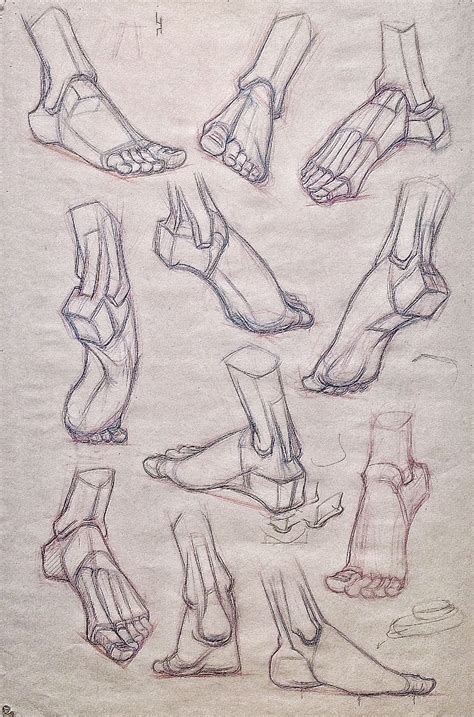 Foot structural drawing for class -Gary Geraths | Structural drawing ...