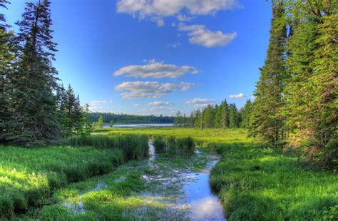 View of the Young Mississippi at lake Itasca state park, Minnesota ...