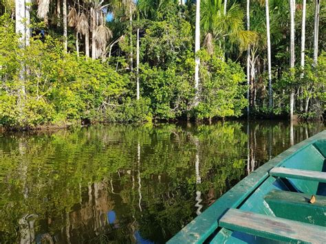 Visiting the Jungle in Madre de Dios | Expat Peru