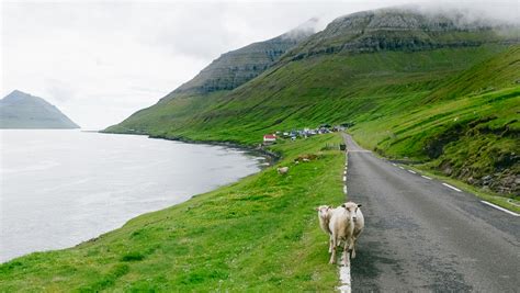 A Music Playlist for your Faroe Islands Road Trip — And Then I Met Yoko ...