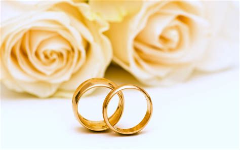 Download wallpapers wedding gold rings, white roses, wedding, wedding ...