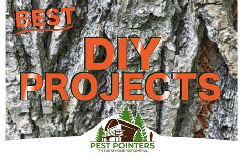 The Best DIY Projects to Deter Pests from Your Home - Pest Pointers