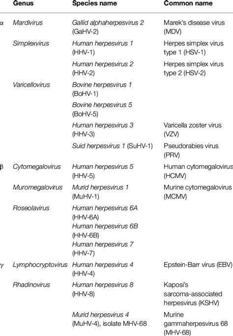 Taxonomic classifications of select members of the Herpesviridae family ...