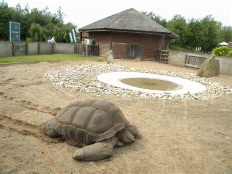 Tortoise enclosure at Blackpool Zoo 12/09/11 - ZooChat