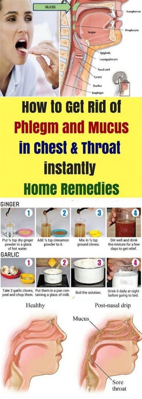 How To Get Rid Of Phlegm & Mucus In Chest & Throat Instantly. Home ...