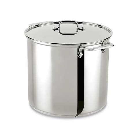 All-Clad Stainless Steel 16 qt. Covered Stock Pot | Bed Bath and Beyond ...