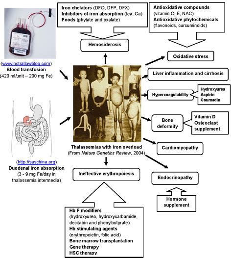 Factor Receptor: Beta Thalassemia Treatment