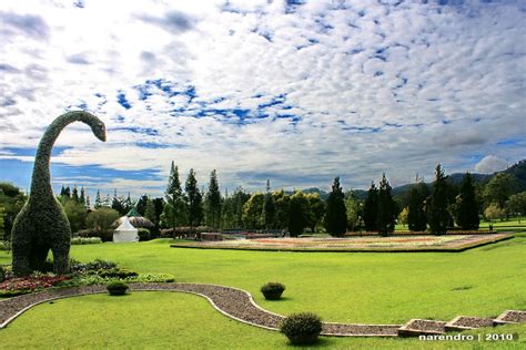 Taman Bunga Nusantara (Flower Garden), Cipanas - West Java - Indonesia ...