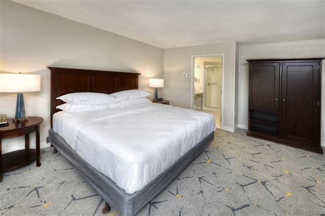 Pet-Friendly Hotel near BWI | Sheraton Baltimore Washington Airport ...