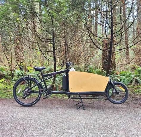 Thoughts on this electric bakfiets? Probably alibaba import. Seller ...