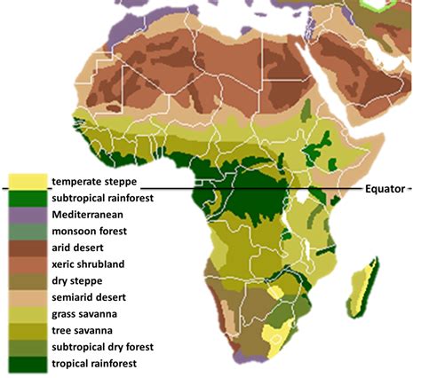 Africa Map, West Africa, Savanna Tree, Subtropical Rainforest, Rd Congo ...