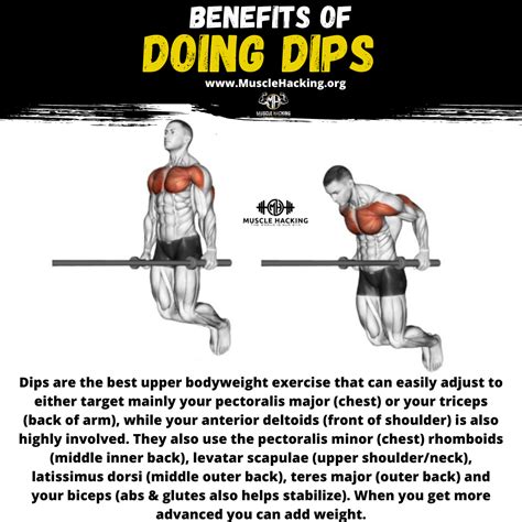 Dips Exercise