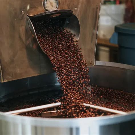 Coffee Roasting Process: Essential Guide