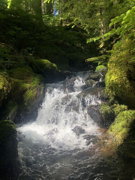 Tunnel Creek — Washington Trails Association