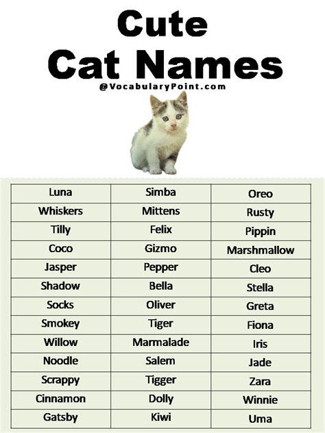 500+ Most Popular Cat Names in English | Cat names, Most popular cat ...